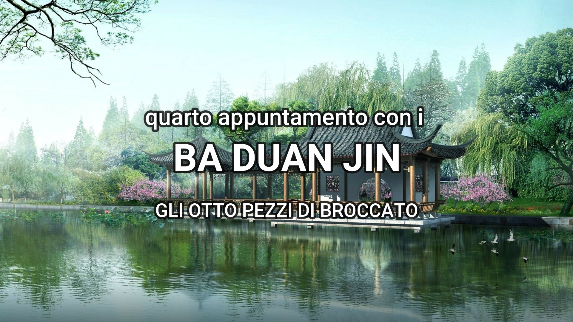 Ba Duan Jin – spiegazione 7° e 8° movimento